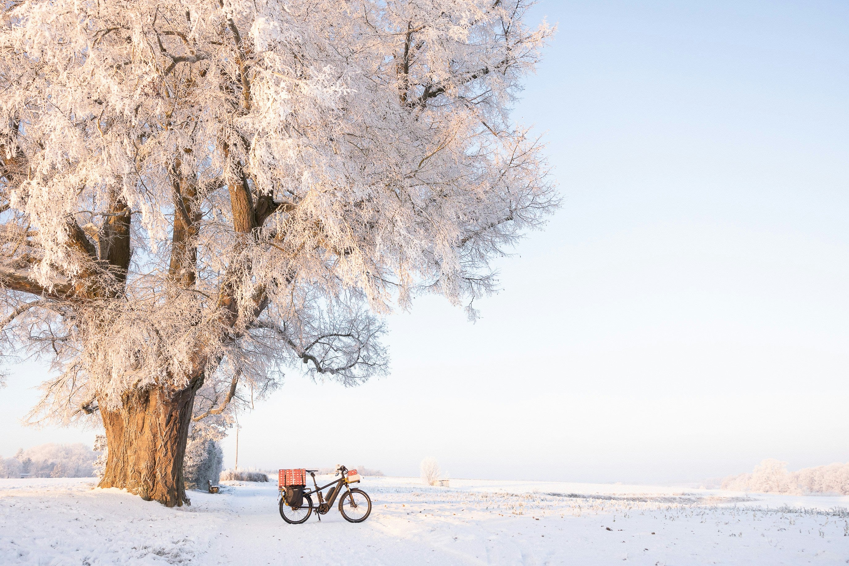 How to Keep Your E-Bike Battery Healthy During Cold Weather