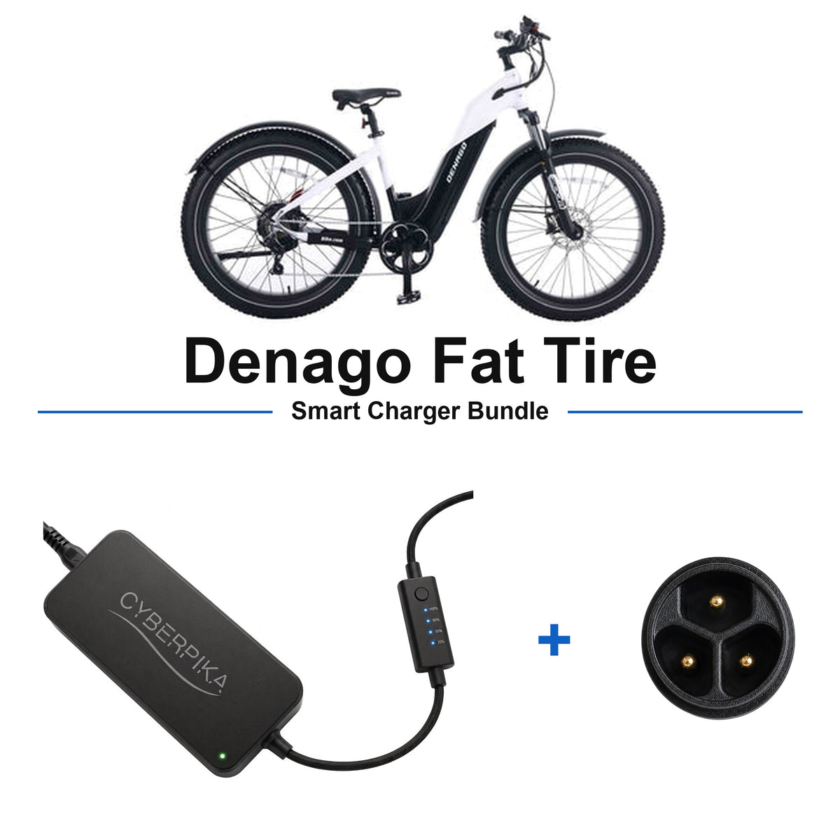 Denago Fat Tire CyberPika smart charger bundle