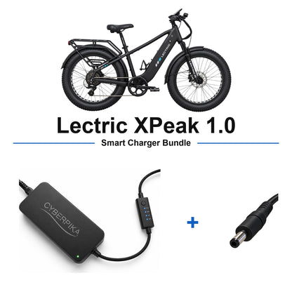 Lectric XPeak 1.0 CyberPika smart charger bundle