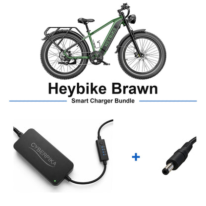 Heybike Brawn CyberPika smart charger bundle