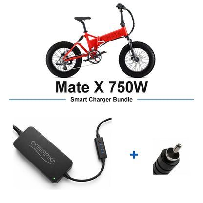 Mate X 750W CyberPika smart charger bundle