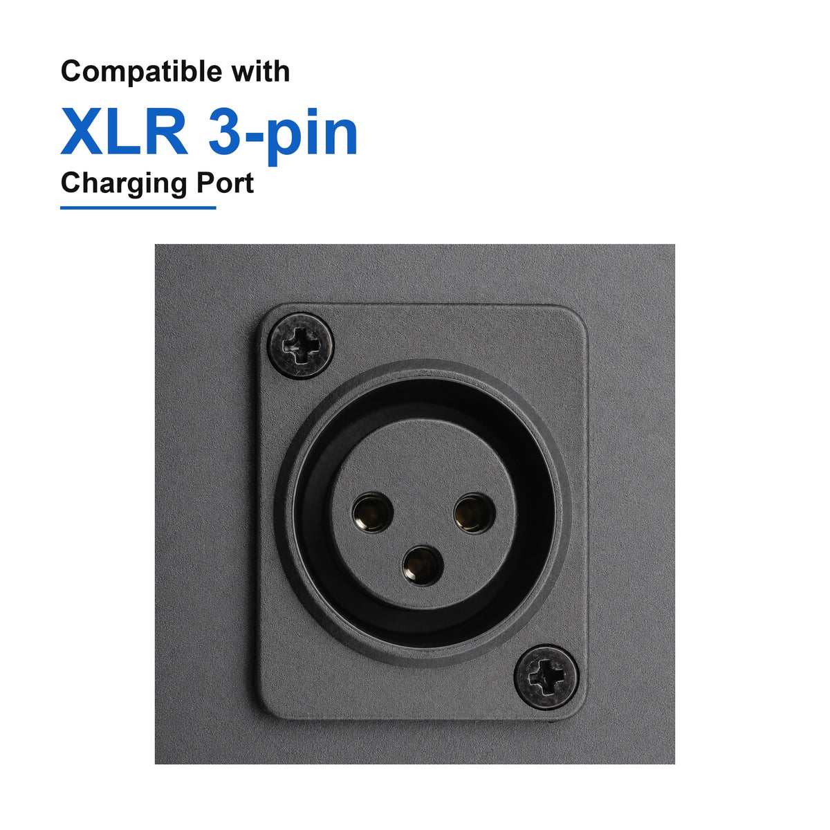 Heybike Mars 1.0 XLR 3-pin charging port compatibility