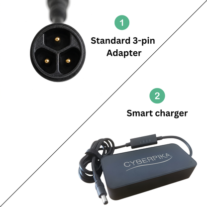Cyberpika Smart eBike Charger Bundle with Standard 3-Pin Adapter