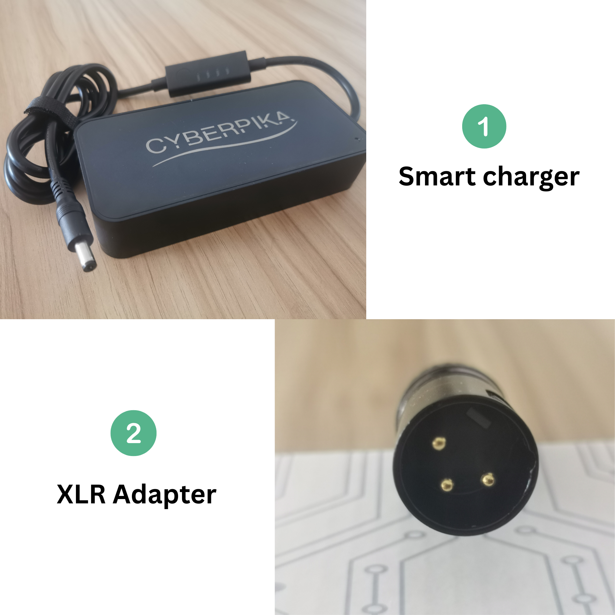 Smart charger with XLR adapter