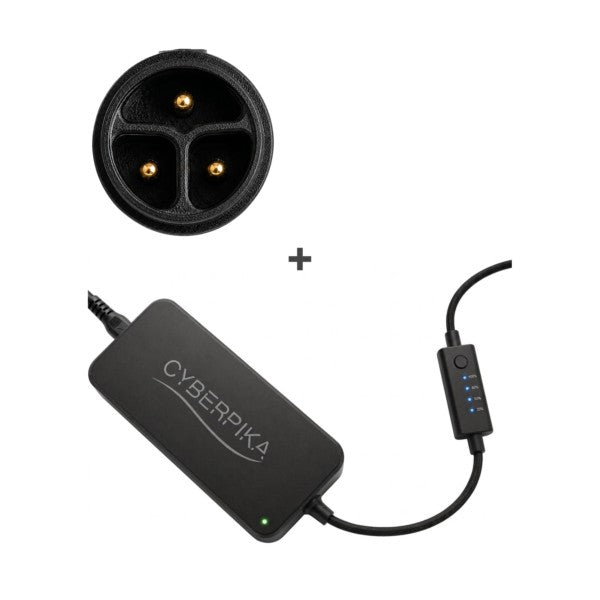 cyberpika_smart_charger_with_junlei_3015_adapter