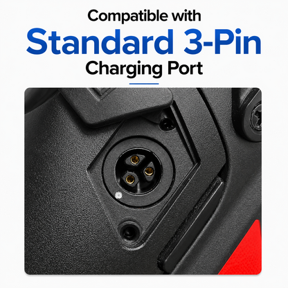 Cyberpika Smart eBike Charger Bundle with Standard 3-Pin Adapter