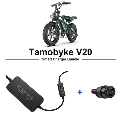 Tamobyke V20 CyberPika smart charger bundle